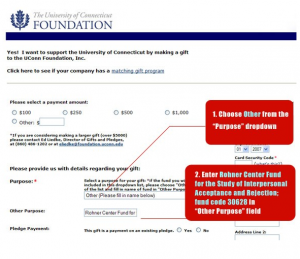 Choose Other Form from "Purpose" Drop-down menu. Enter Rohner Center (Fund Code: 30628)